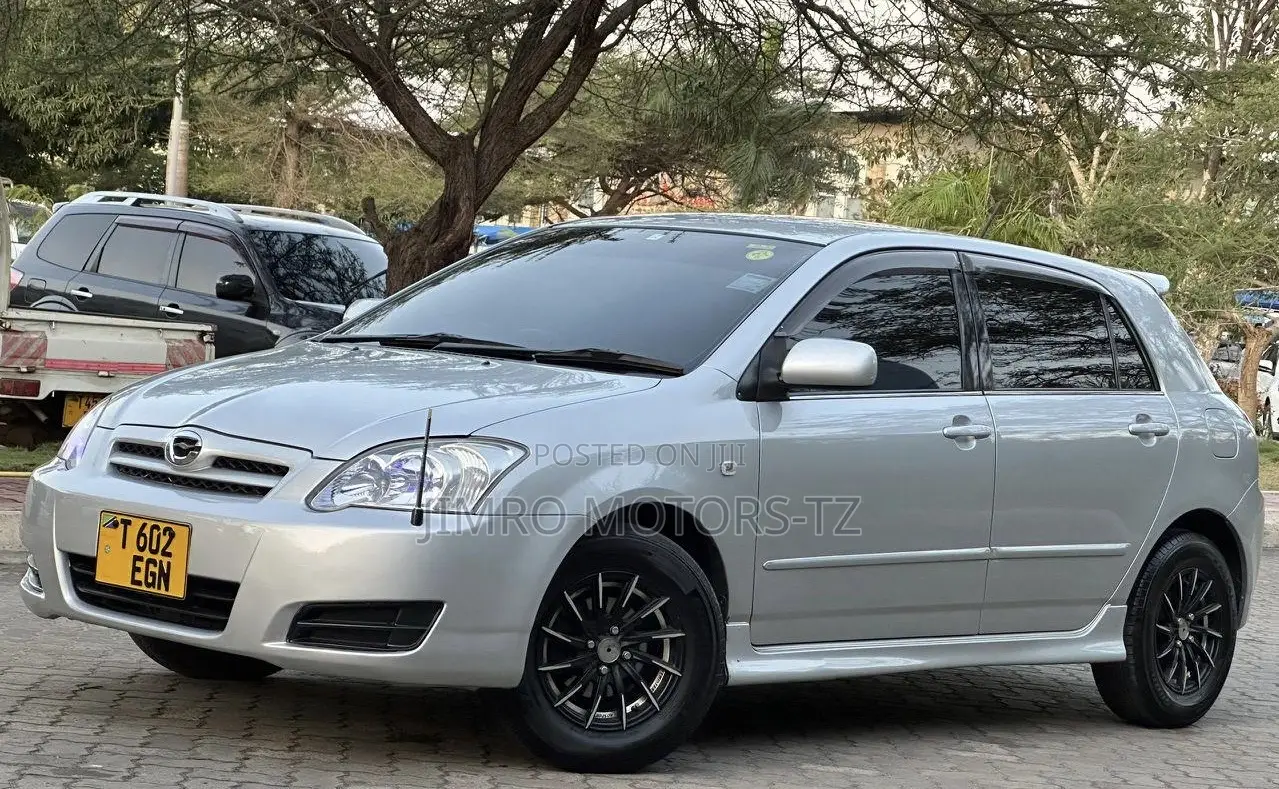 Toyota Allex 2005 Silver