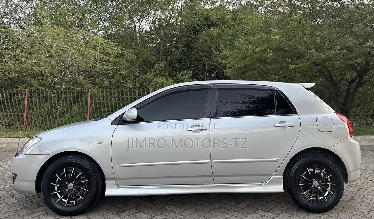 Toyota Allex 2005 Silver