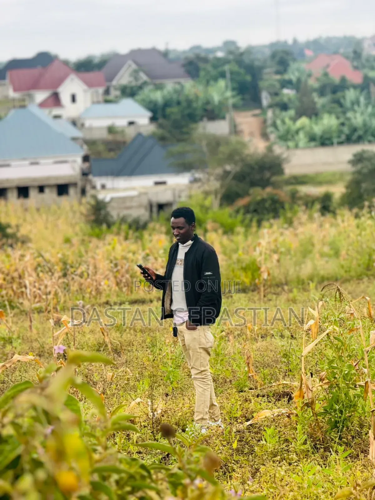 Kiseriani New Project