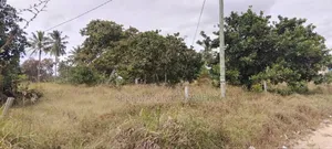 Shamba Linauzwa Mbagala Mbande Mipeko