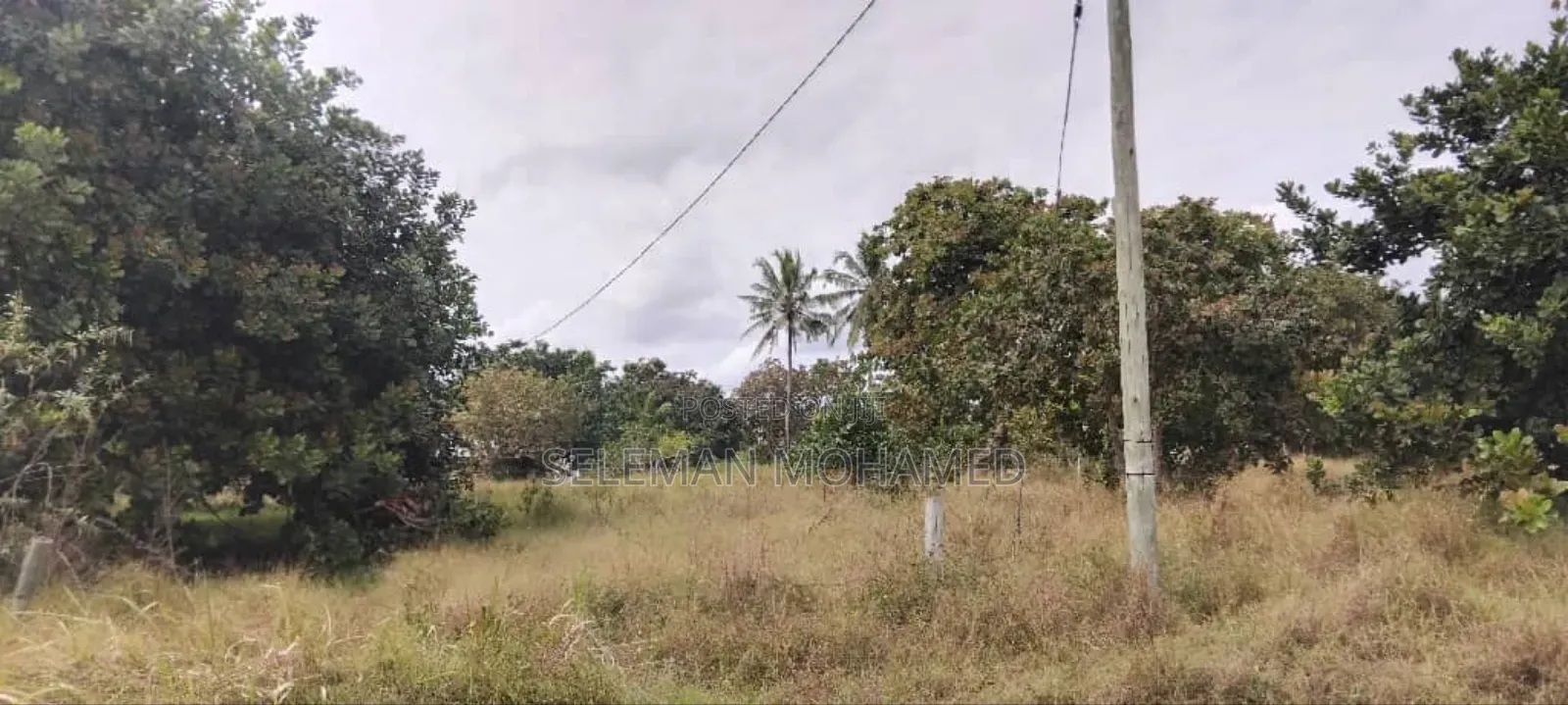 Shamba Linauzwa Mbagala Mbande Mipeko