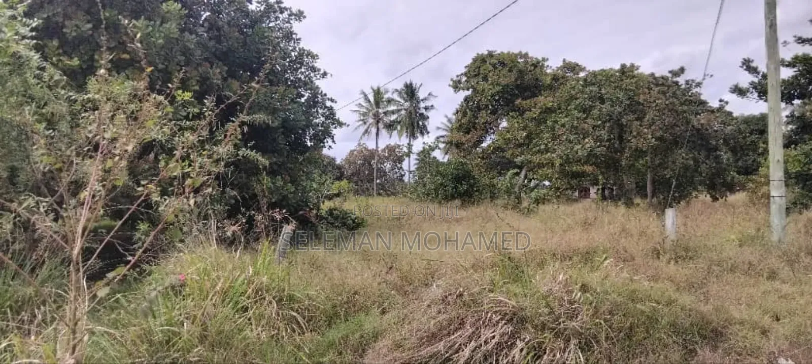 Shamba Linauzwa Mbagala Mbande Mipeko