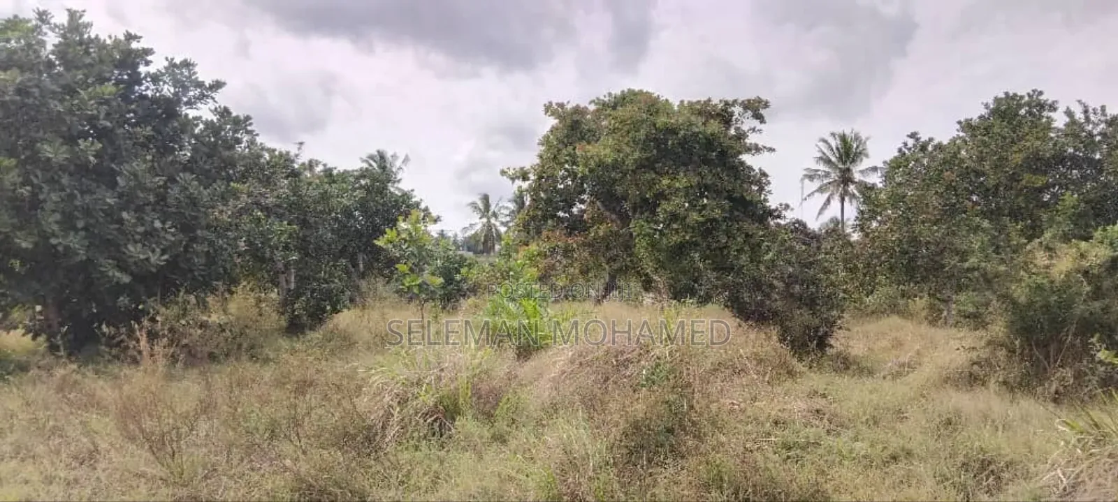Shamba Linauzwa Mbagala Mbande Mipeko