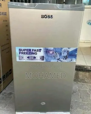 Boss Fridge Lita 90 Model Bs90 SVR