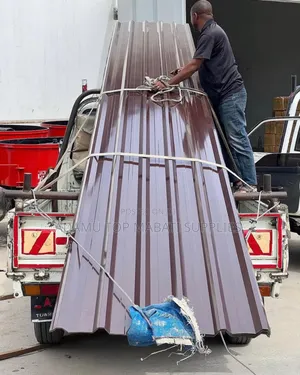 It5 With a Coffee Color Is on the Way to Site