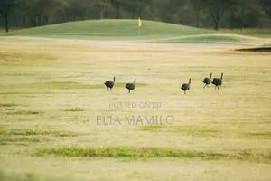 1 Acre Plot for Sale in Kiligolf Estate in Arusha