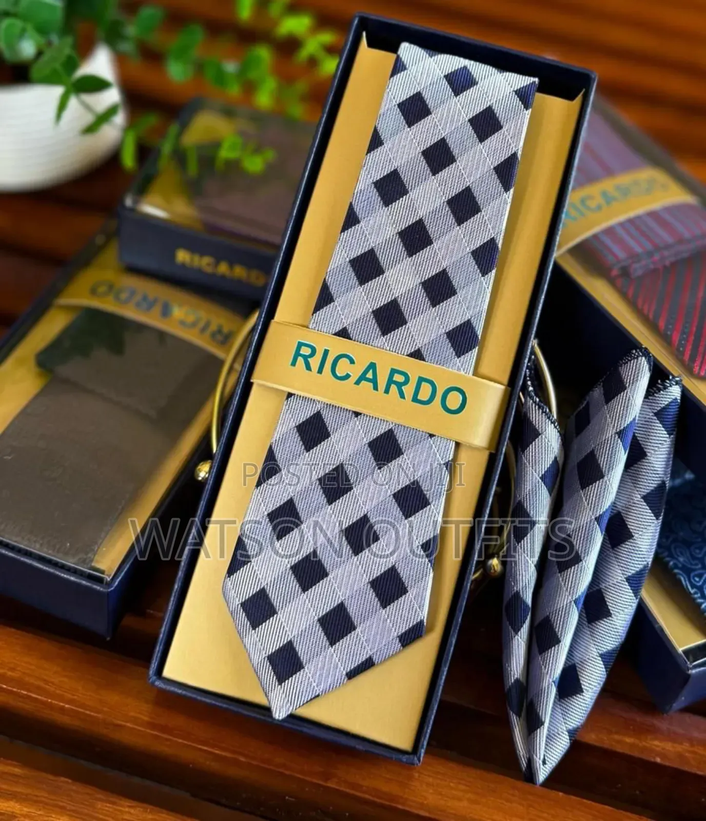 Men's Ricardo Brand Ties Completely Stylish and Smart