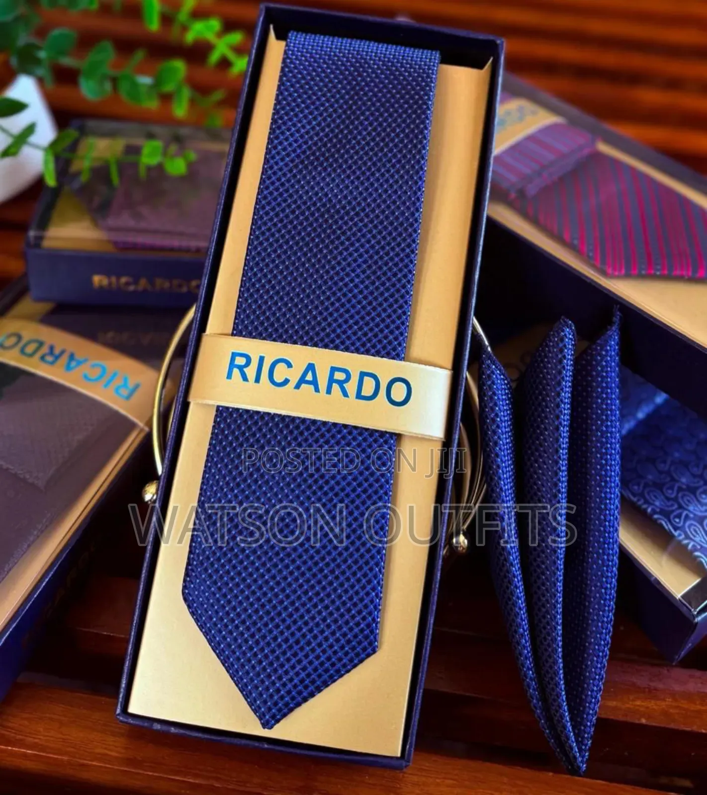 Men's Ricardo Brand Ties Completely Stylish and Smart