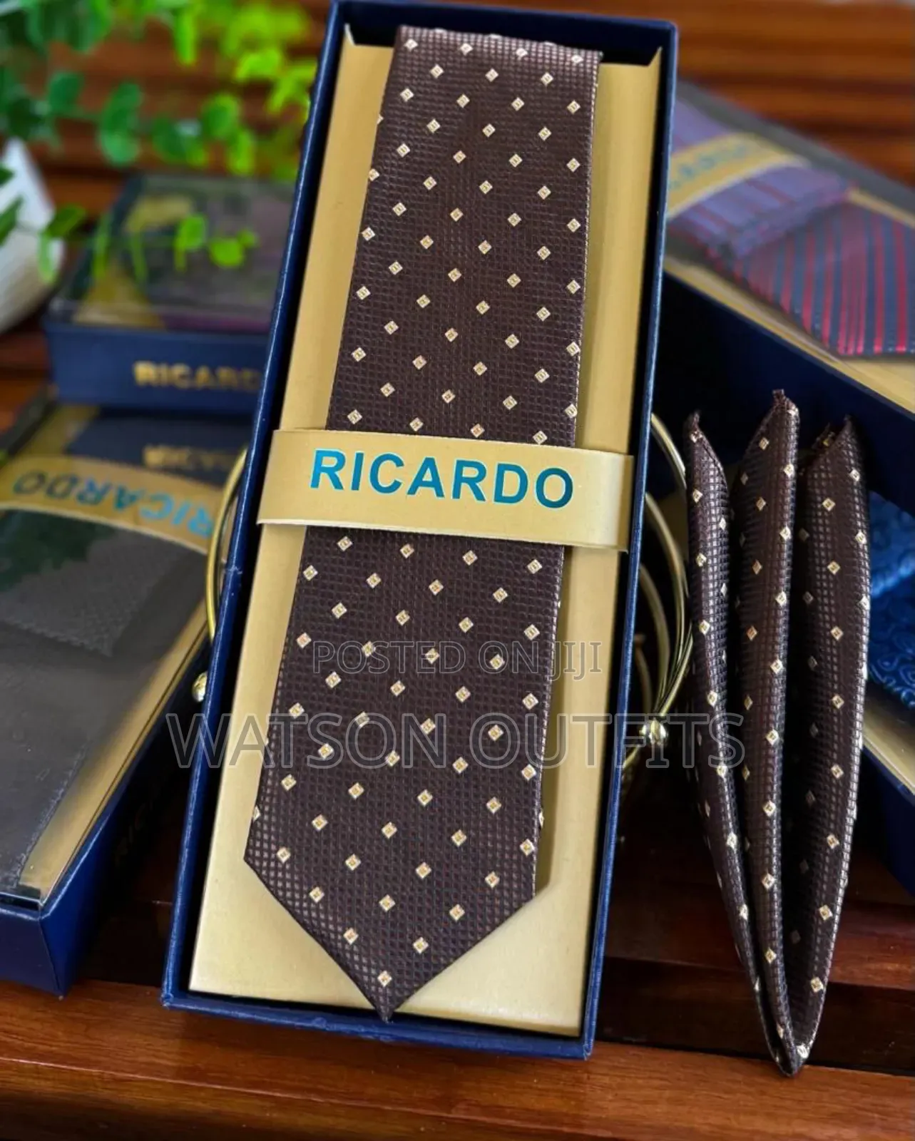 Men's Ricardo Brand Ties Completely Stylish and Smart