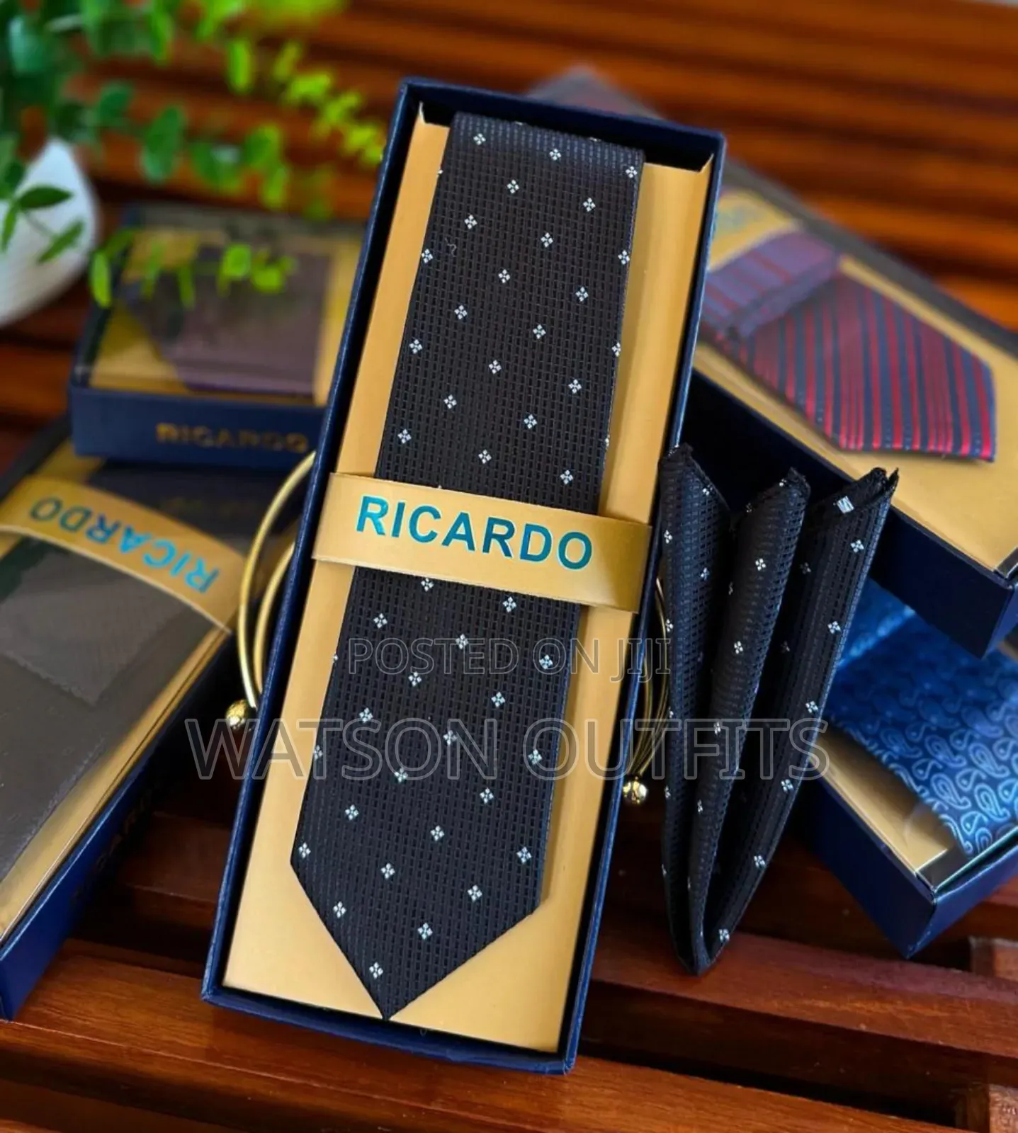 Men's Ricardo Brand Ties Completely Stylish and Smart