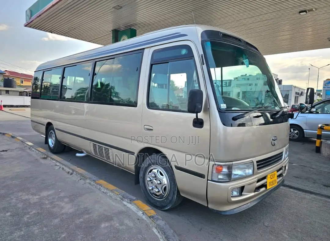 Toyota Coaster 2007 Beige