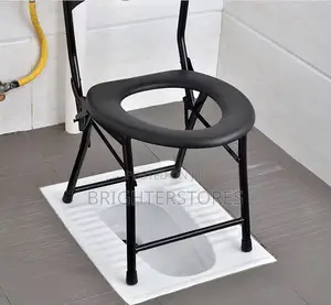 Folding Toilet Chair With Armrest Metal Non Rust