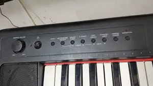 Electric Piano 88key Piaggero_31