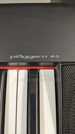 Electric Piano 88key Piaggero_31