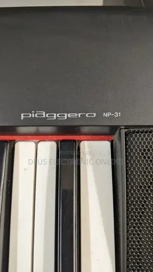 Electric Piano 88key Piaggero_31