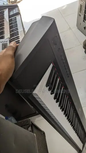 Electric Piano 88key Piaggero_31