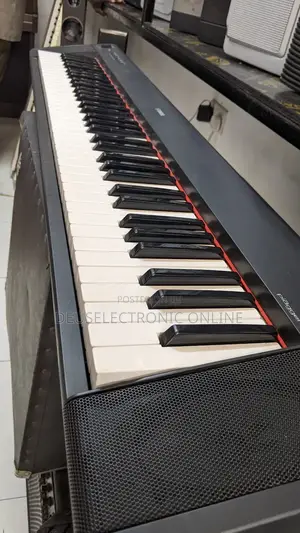 Electric Piano 88key Piaggero_31