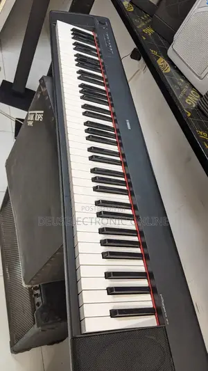 Electric Piano 88key Piaggero_31