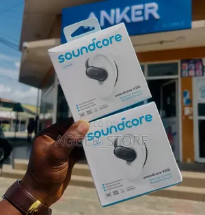 Soundcore V20i Earbuds