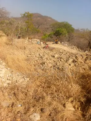 Gold Mine Site for Sale or Joint Venture in Chunya Mbeya