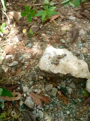 Photo - Ruby Mine Site for Sale Morogoro Matombo