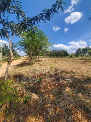 Bweeni_bahari Beach Plot 200mil TSH