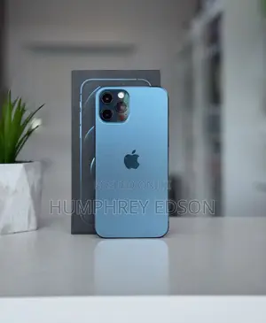 New Apple iPhone 12 Pro Max 256 GB Blue