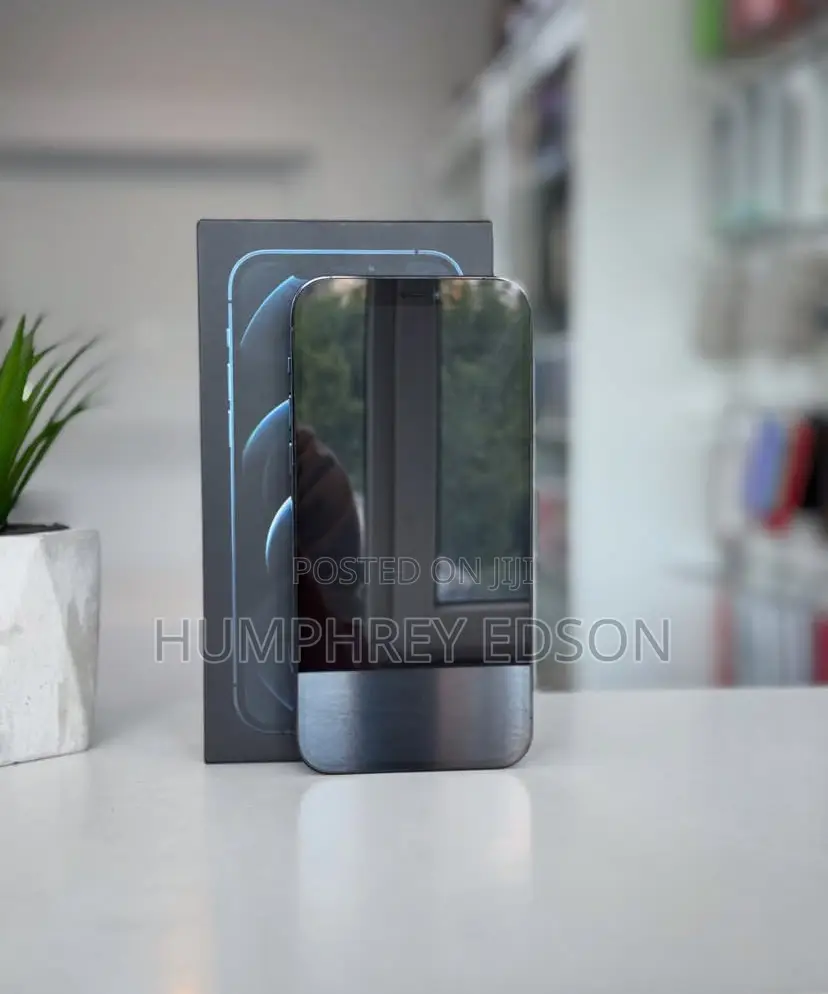 New Apple iPhone 12 Pro Max 256 GB Blue