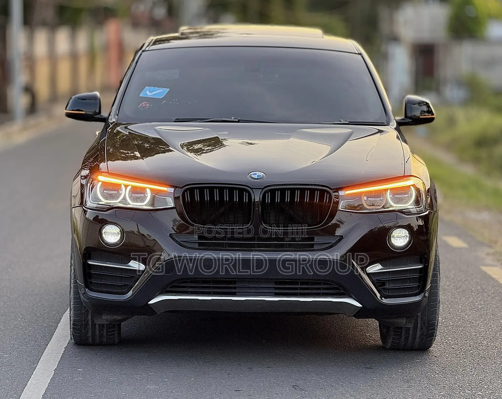 BMW X4 xDrive28i 2015 Brown