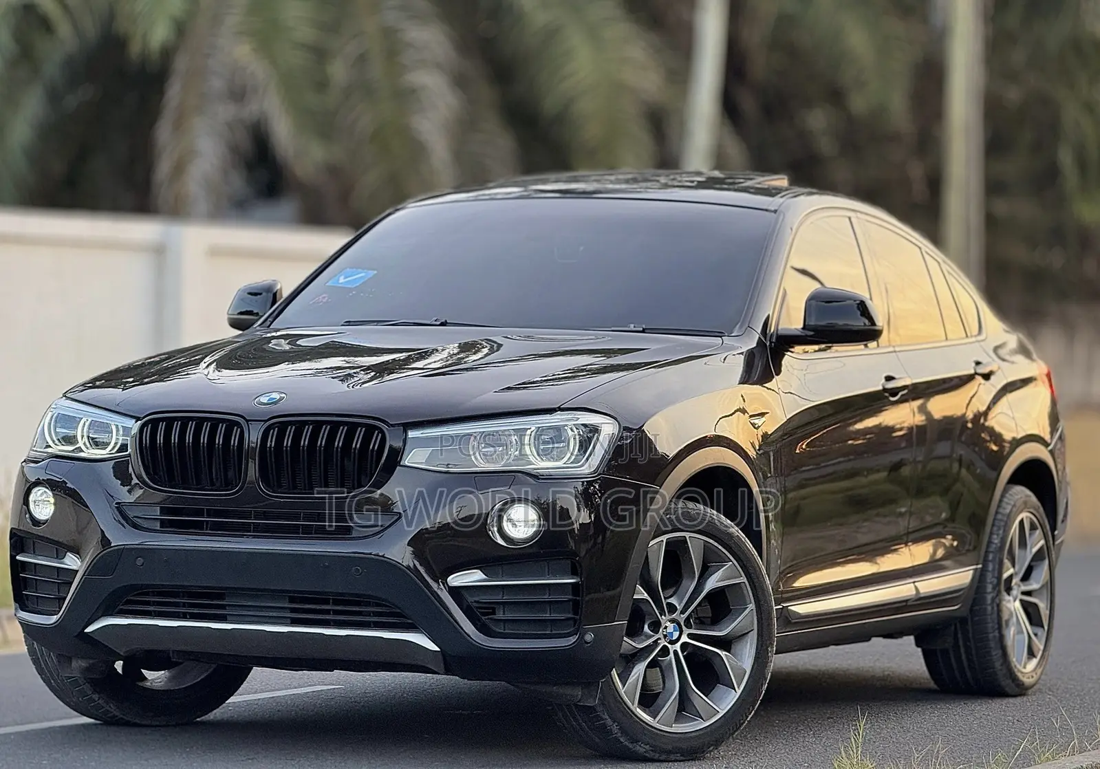 BMW X4 xDrive28i 2015 Brown
