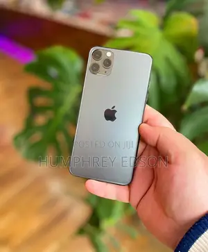 Apple iPhone 11 Pro Max 256 GB Gray