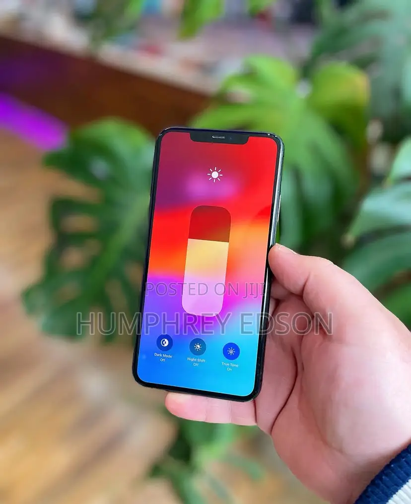 Apple iPhone 11 Pro Max 256 GB Gray