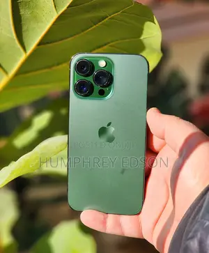 New Apple iPhone 13 Pro 256 GB Green