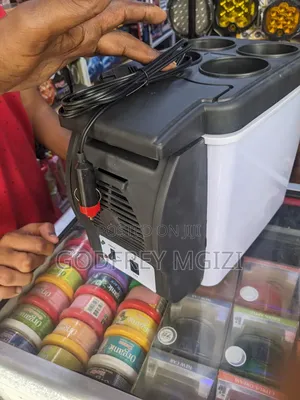 Car 6 L Cooling and Warming Refrigerators