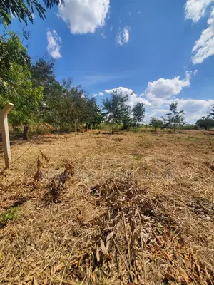 Eneo Linauzwa Madale Msigani