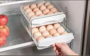 Egg Tray 32