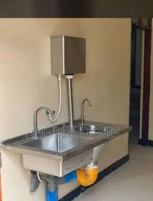 Scrub Sink