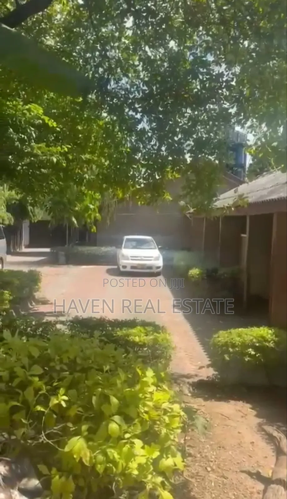 Eneo Linauzwa Masaki