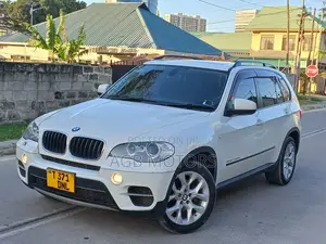 BMW X5 2010 White