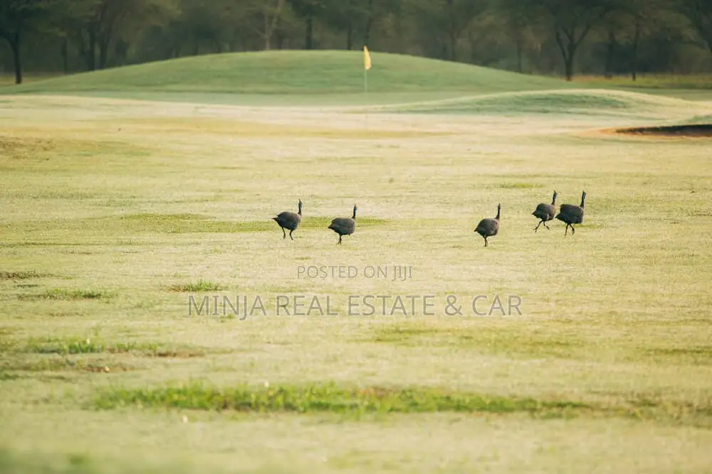 1 Acre for Sale in Kiligolf Estate in Arusha