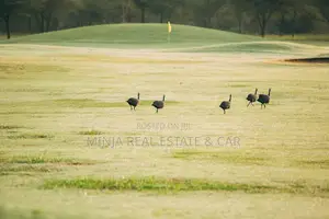 Photo - 1 Acre for Sale in Kiligolf Estate in Arusha