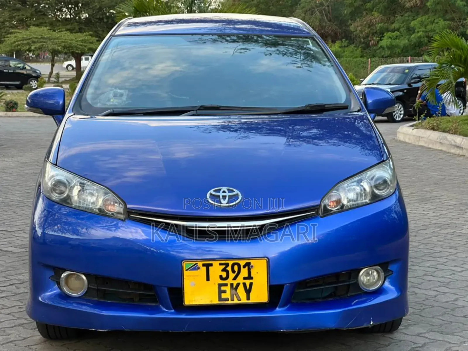 Toyota Wish 2010 Blue