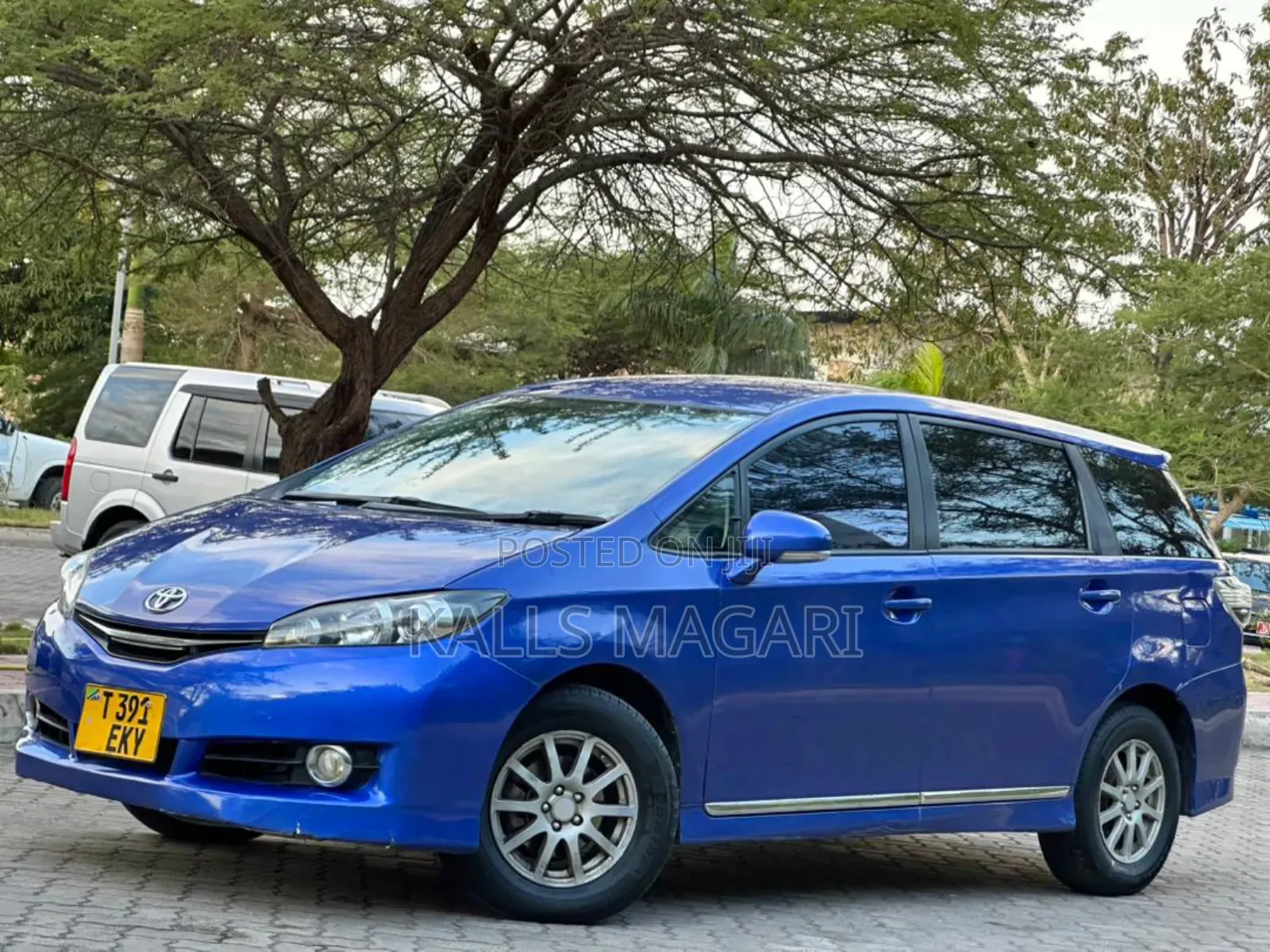 Toyota Wish 2010 Blue