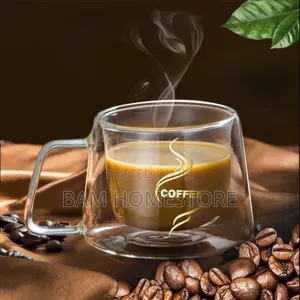 Double Wall Glass Mug