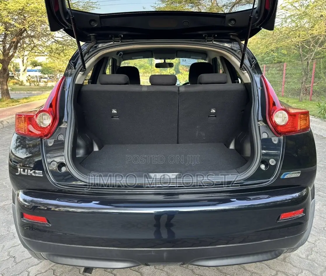 Nissan Juke 2011 Black