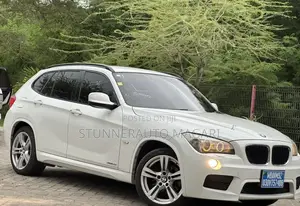 BMW X1 2013 Pearl