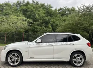 BMW X1 2013 Pearl