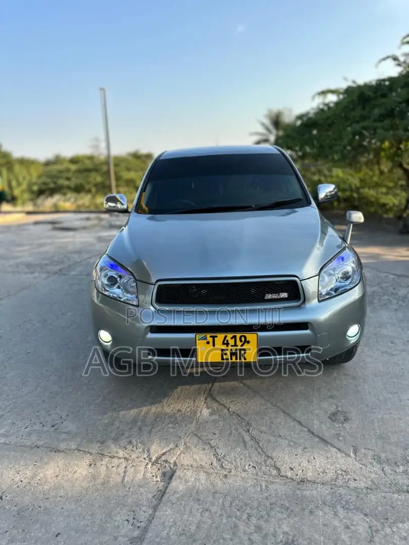 Toyota RAV4 2008 Gray