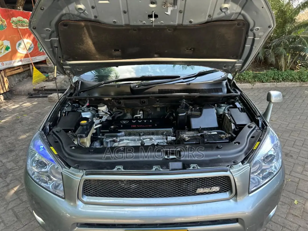 Toyota RAV4 2008 Gray