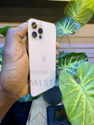 Apple iPhone 13 Pro Max 256 GB Gold